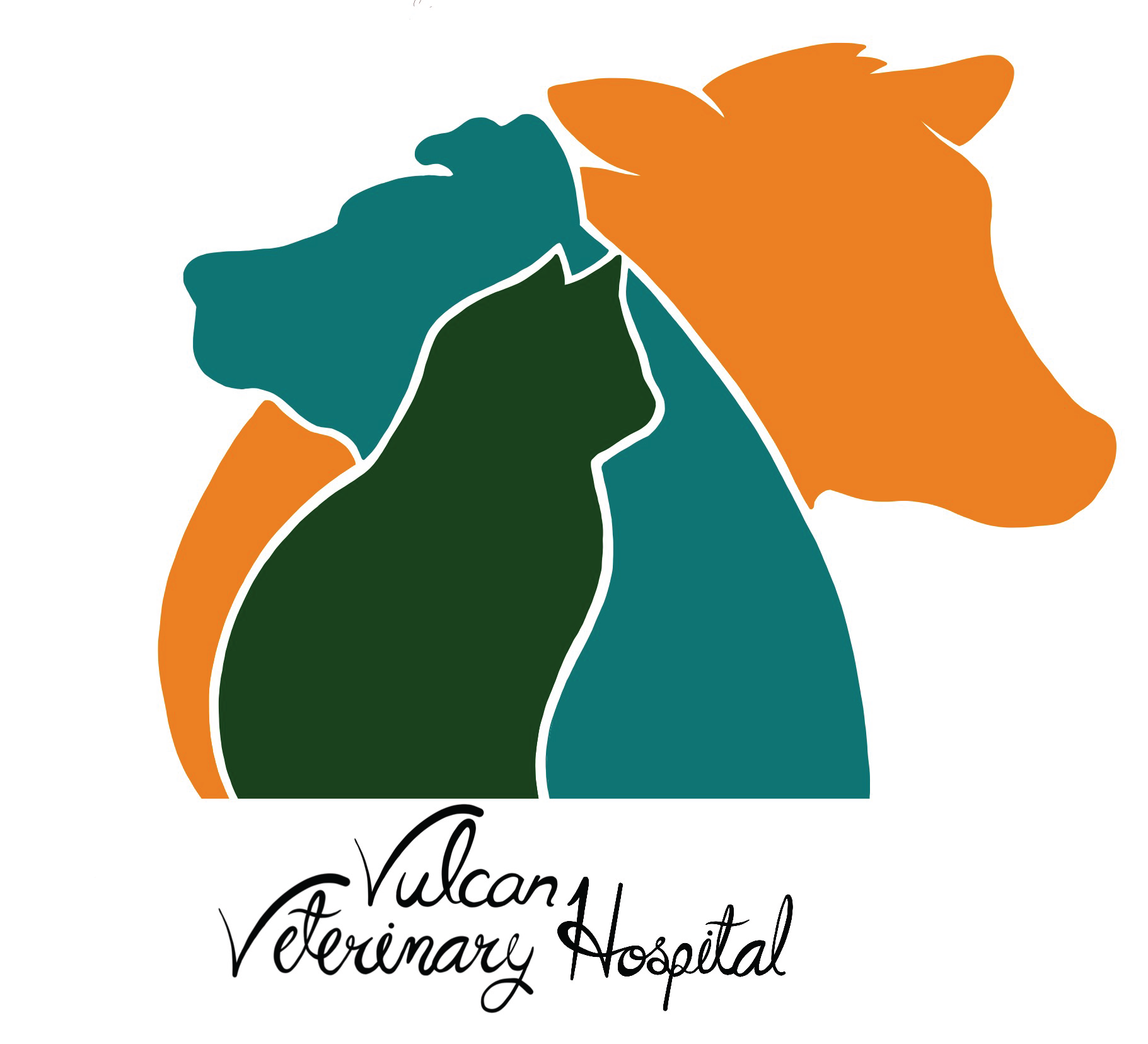 Vulcan Veterinary Hospital